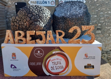 Feria de la Trufa de Abejar