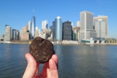 Trufa de Soria en Nueva York