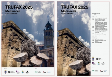 Trufax. Feria de la Trufa de Medinaceli