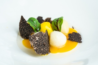 El Kiosco _ Postre Trufado