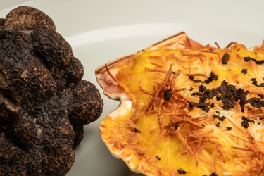 Vieira gratinada con trufa negra de Soria