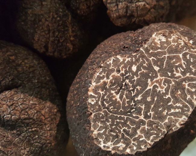 Trufa Negra de Soria