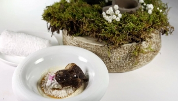 Ganador Cocinando con Trufa 2025