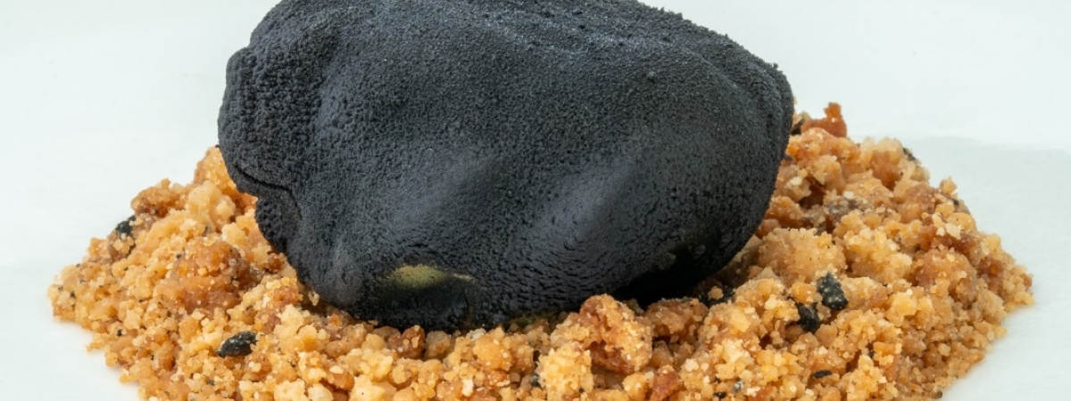 Parador Antonio Machado _ Trufa de boletus, queso, miel y Trufa de Soria