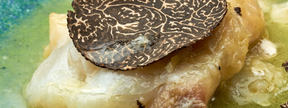 Cocochas de Bacalao a baja temperatura en pil-pil de Trufa Negra de Soria