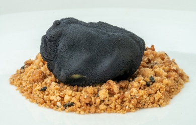 Parador Antonio Machado _ Trufa de boletus, queso, miel y Trufa de Soria